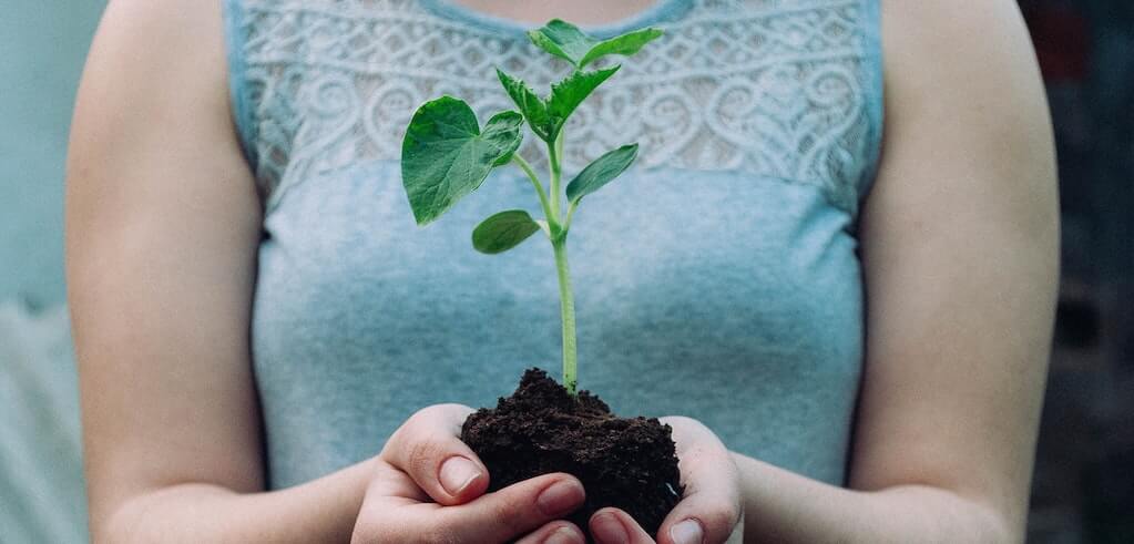 S’engager pour le climat et gagner en attractivité en tant qu’entreprise